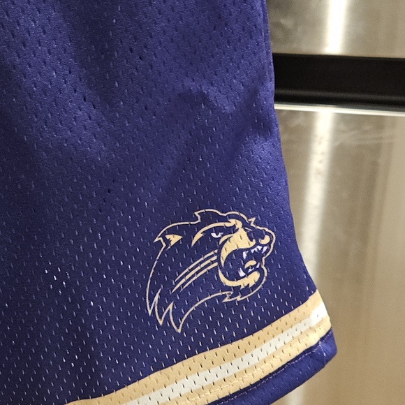 Western Carolina Blue and Gold Women's Shorts - Picture 2 of 5